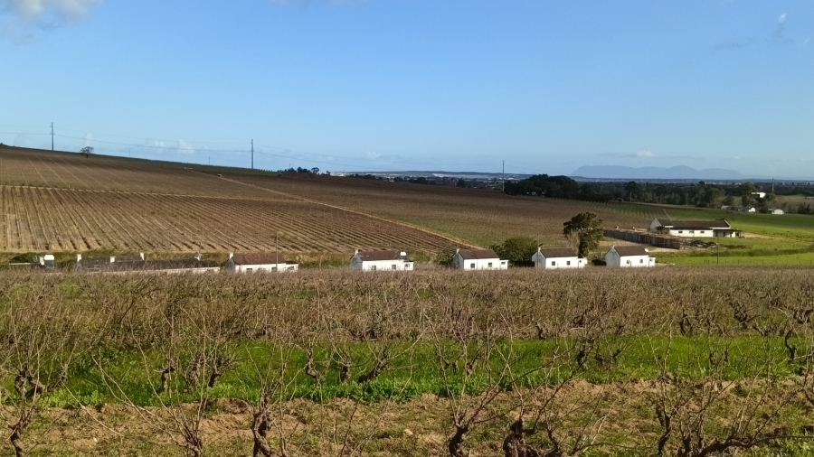 5 Bedroom Property for Sale in Stellenbosch Farms Western Cape